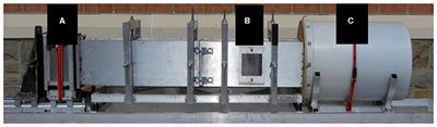 Glial Activation in the Thalamus Contributes to Vestibulomotor Deficits Following Blast-Induced Neurotrauma